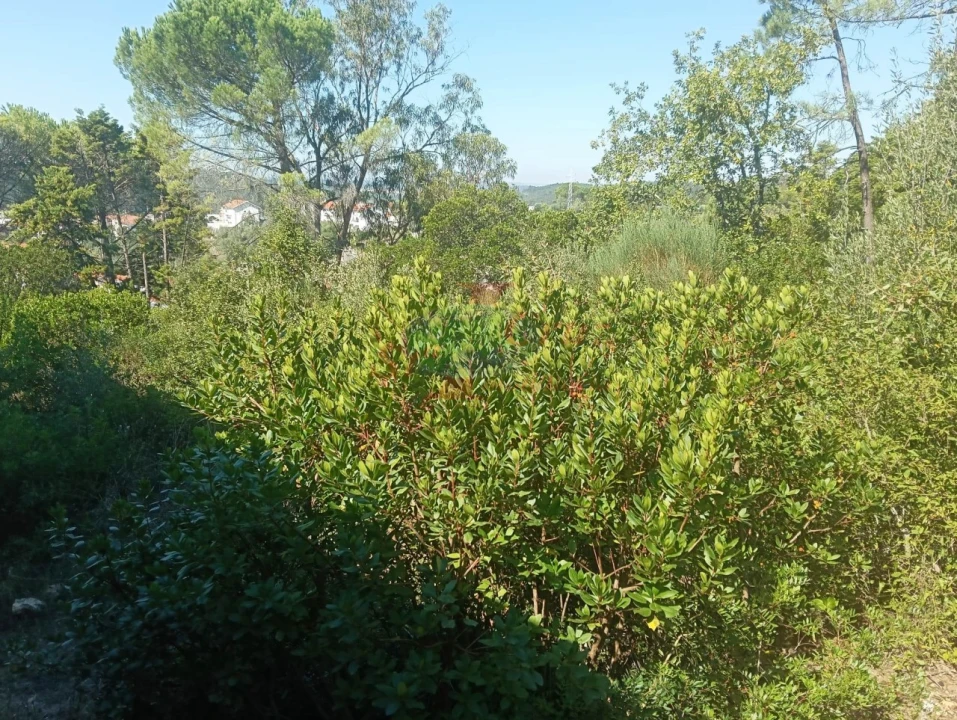 Terreno para Venda em Assafarge e Antanhol Foto 10