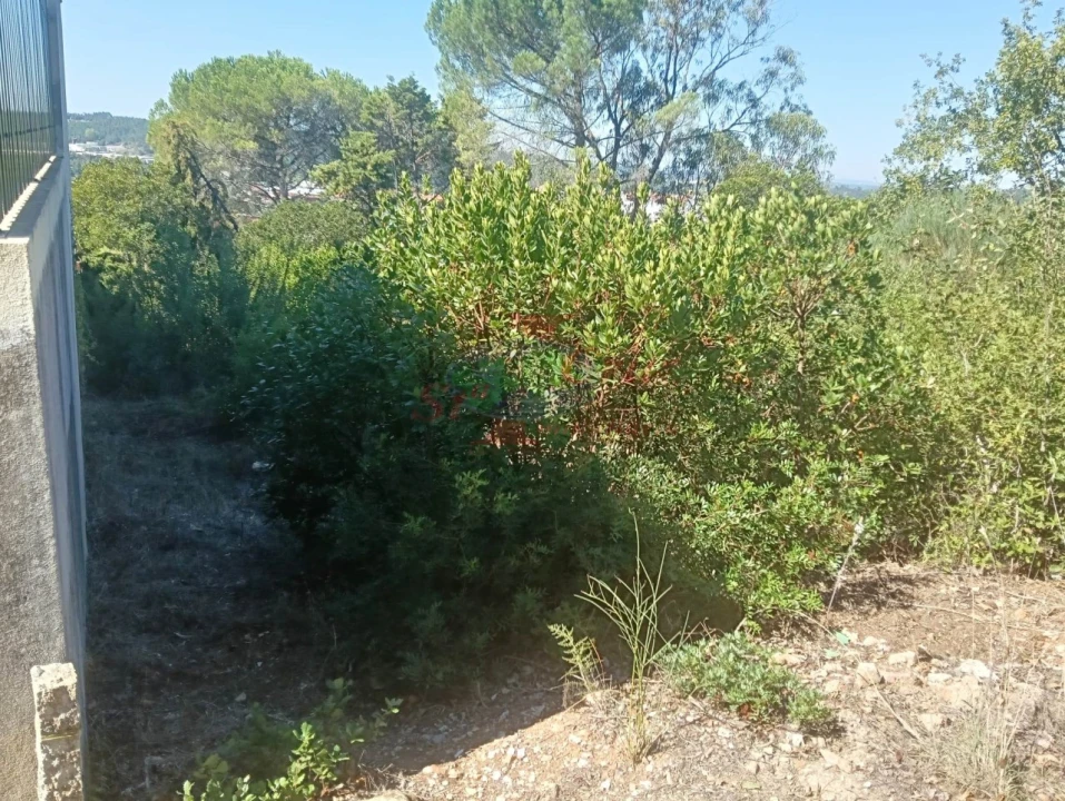 Terreno para Venda em Assafarge e Antanhol Foto 9