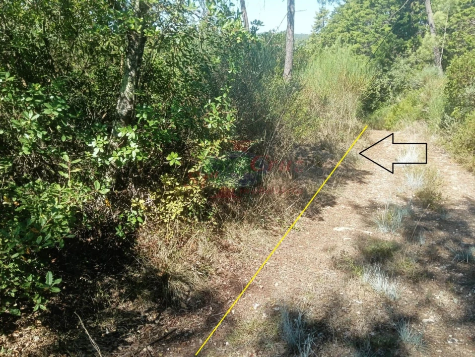 Terreno para Venda em Assafarge e Antanhol Foto 8