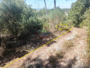 Terreno para Venda em Assafarge e Antanhol