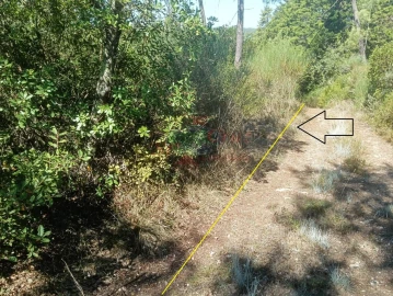 Terreno para Venda em Assafarge e Antanhol