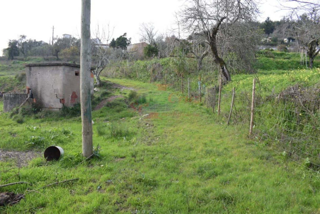 Quinta para Venda em Cernache Foto 7