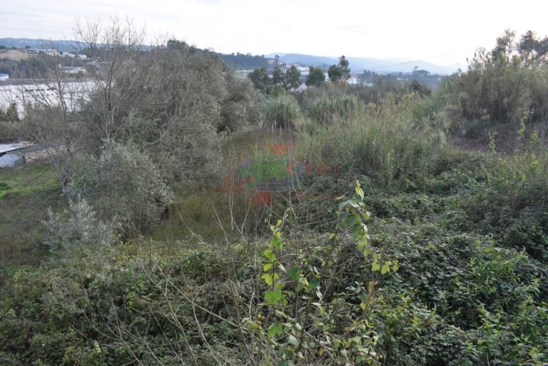 Quinta para Venda em Cernache Foto 11