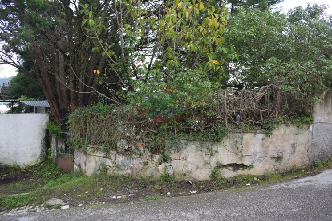 Quinta para Venda em Cernache Foto 16