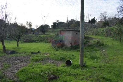 Quinta para Venda em Cernache