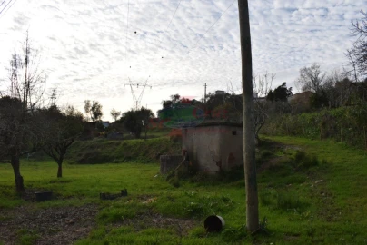 Quinta para Venda em Cernache
