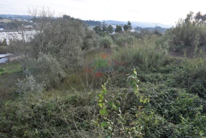 Quinta para Venda em Cernache