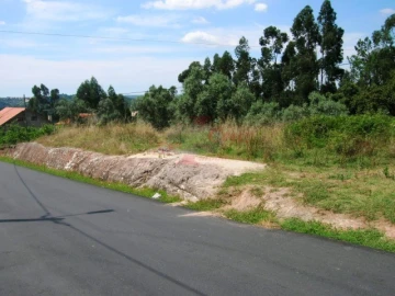 Terreno para Venda em Eiras e São Paulo de Frades
