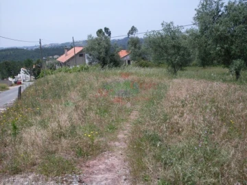 Terreno para Venda em Eiras e São Paulo de Frades