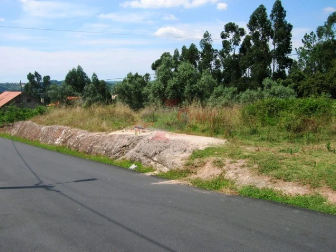 Terreno para Venda em Eiras e São Paulo de Frades Foto 2