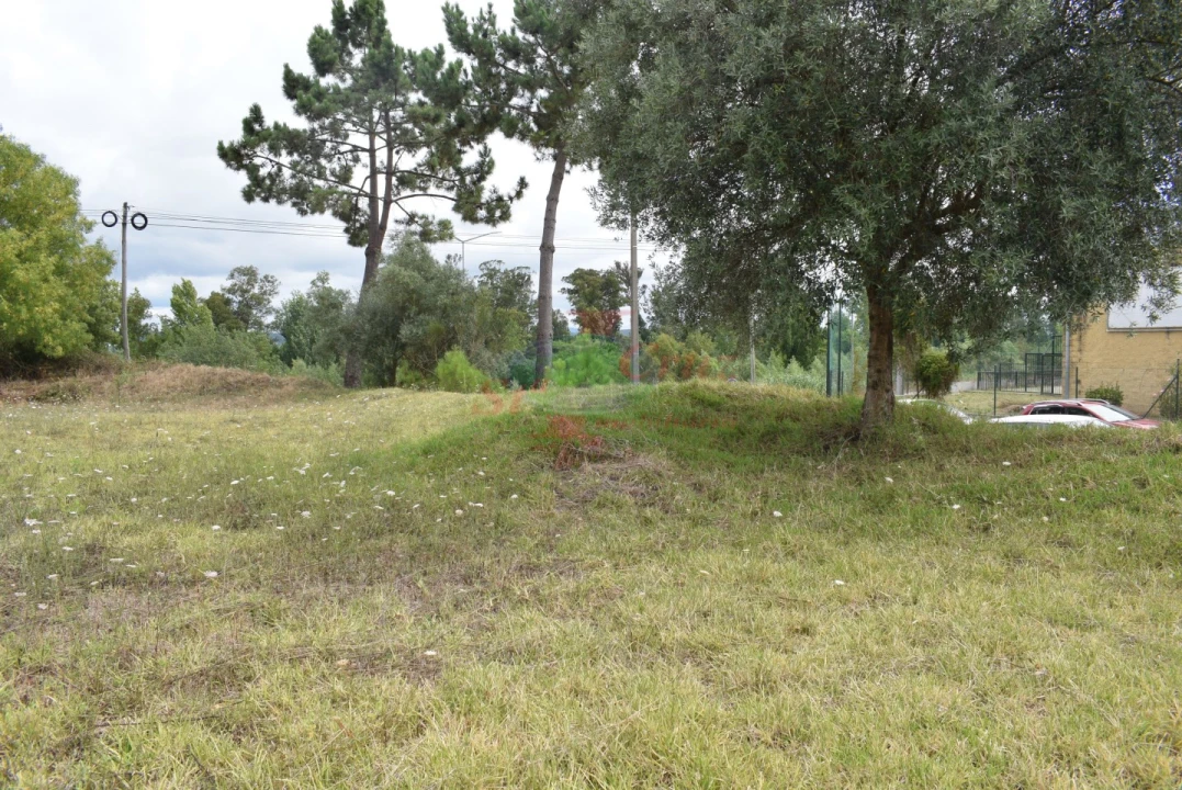 Terreno para Venda em São Silvestre Foto 6