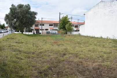 Terreno para Venda em São Silvestre