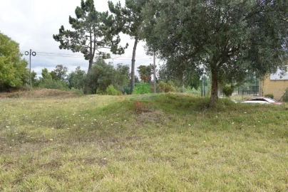 Terreno para Venda em São Silvestre