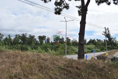 Terreno para Venda em São Silvestre