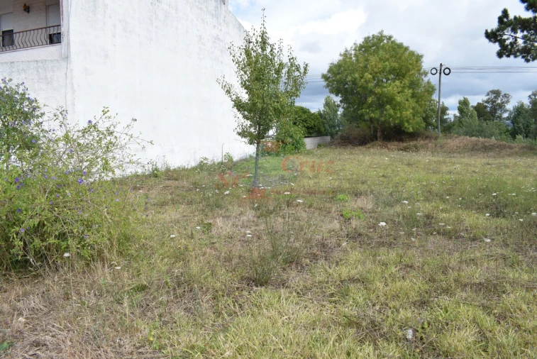 Terreno para Venda em São Silvestre Foto 4