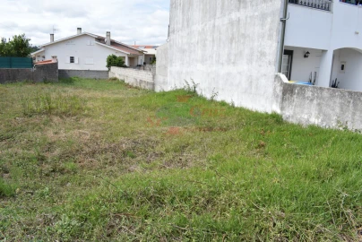 Terreno para Venda em São Silvestre