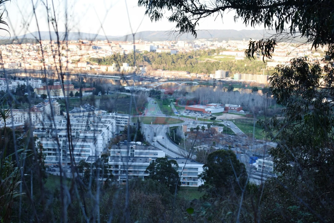 Terreno para Venda em Santa Clara e Castelo Viegas Foto 3