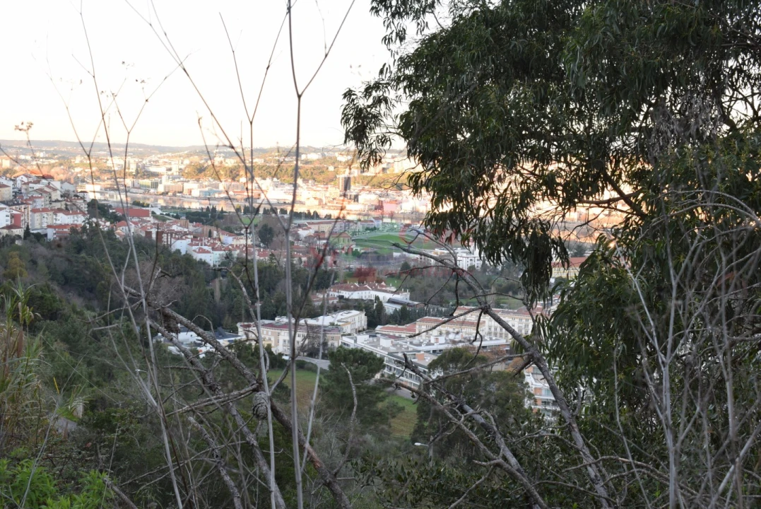 Terreno para Venda em Santa Clara e Castelo Viegas Foto 4