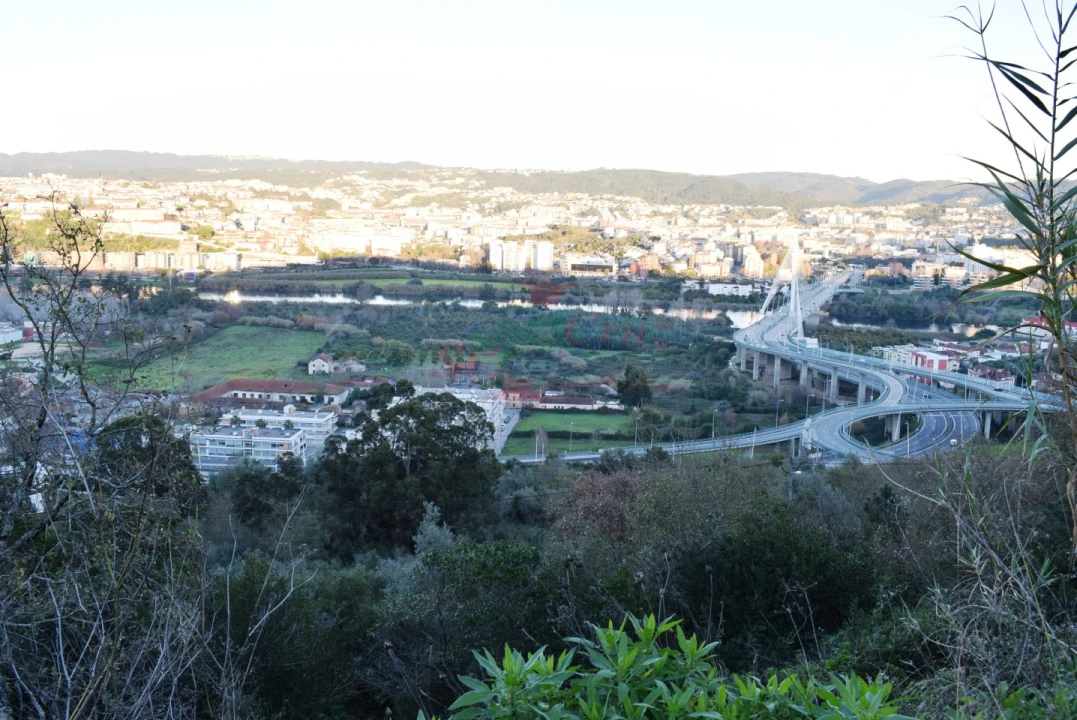 Terreno para Venda em Santa Clara e Castelo Viegas Foto 5