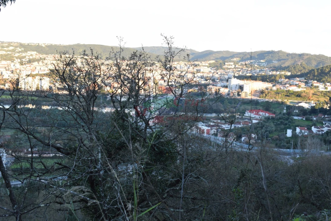 Terreno para Venda em Santa Clara e Castelo Viegas Foto 6
