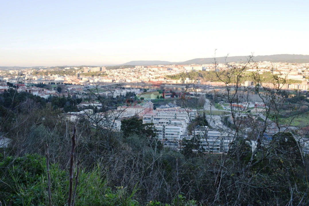 Terreno para Venda em Santa Clara e Castelo Viegas Foto 8