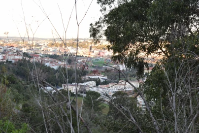 Terreno para Venda em Santa Clara e Castelo Viegas