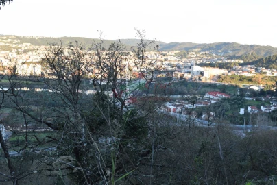 Terreno para Venda em Santa Clara e Castelo Viegas