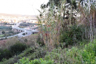 Terreno para Venda em Santa Clara e Castelo Viegas