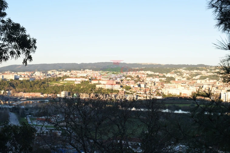 Terreno para Venda em Santa Clara e Castelo Viegas Foto 2