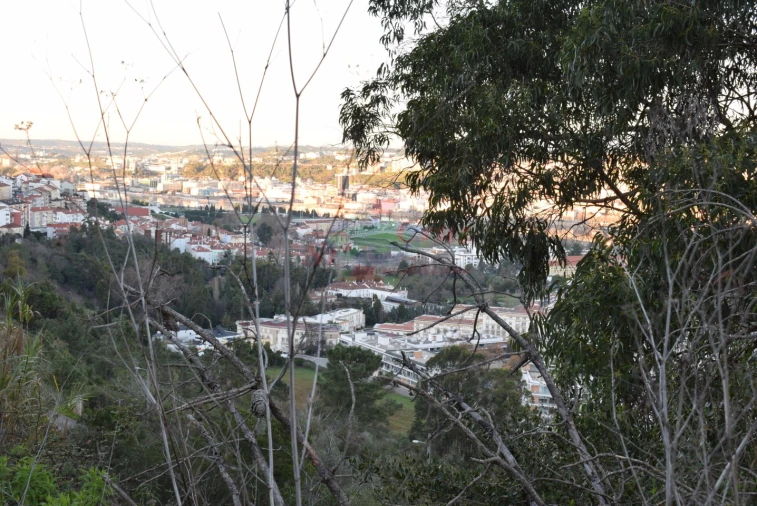 Terreno para Venda em Santa Clara e Castelo Viegas Foto 4