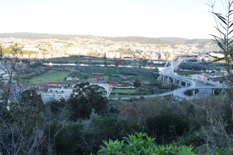 Terreno para Venda em Santa Clara e Castelo Viegas Foto 5