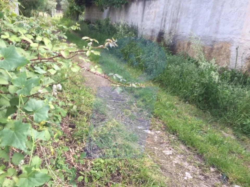 Quinta para Venda em Sangalhos Foto 6