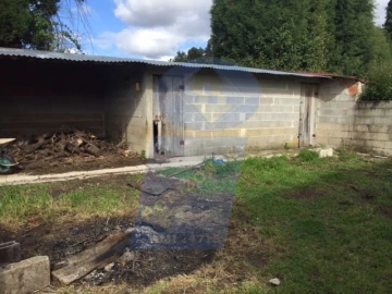 Quinta para Venda em Sangalhos