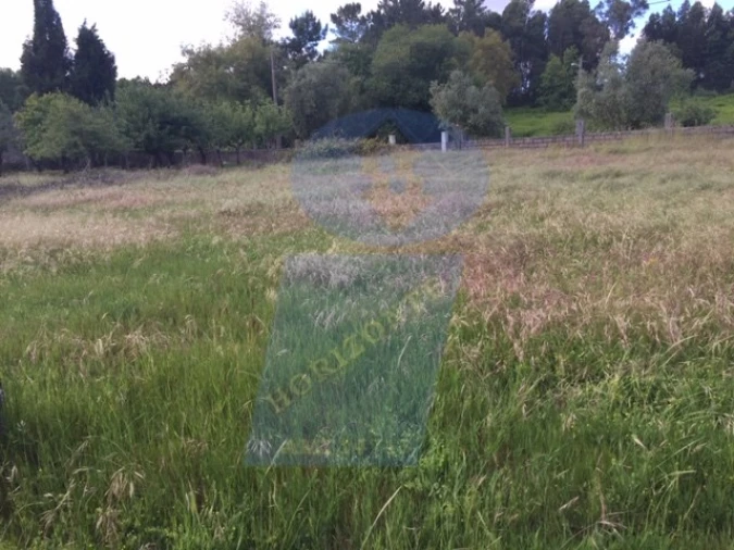 Quinta para Venda em Sangalhos Foto 3