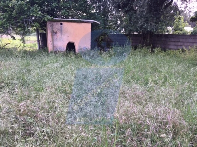 Quinta para Venda em Sangalhos Foto 7