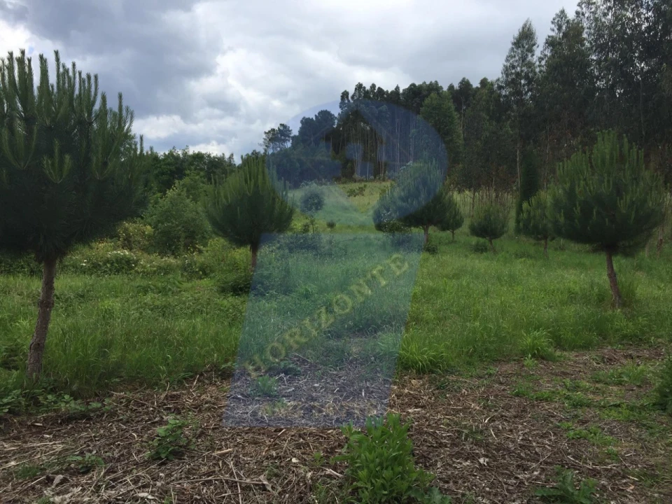 Quinta para Venda em Tamengos, Aguim e Óis do Bairro Foto 4