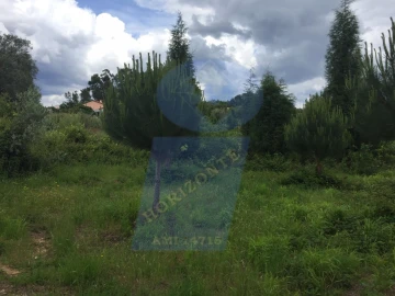 Quinta para Venda em Tamengos, Aguim e Óis do Bairro