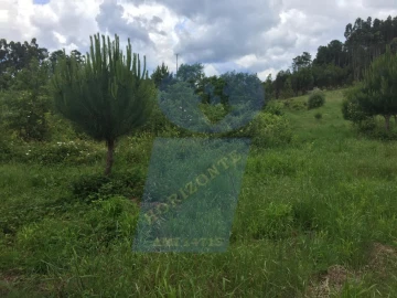 Quinta para Venda em Tamengos, Aguim e Óis do Bairro