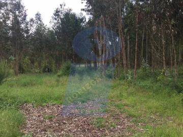 Quinta para Venda em Tamengos, Aguim e Óis do Bairro