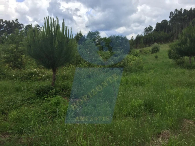 Quinta para Venda em Tamengos, Aguim e Óis do Bairro Foto 3