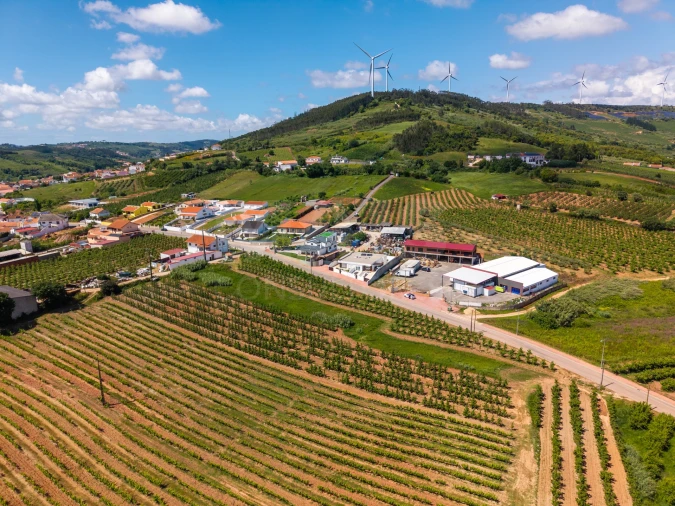 Terreno para Venda em Alguber Foto 3