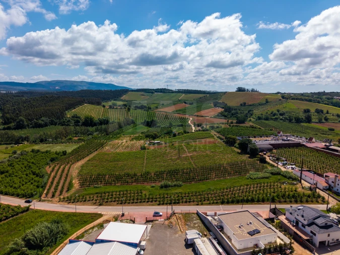 Terreno para Venda em Alguber Foto 7