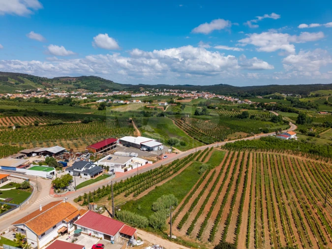 Terreno para Venda em Alguber Foto 5