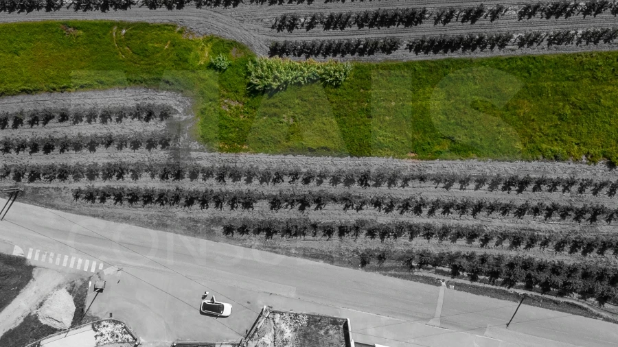 Terreno para Venda em Alguber