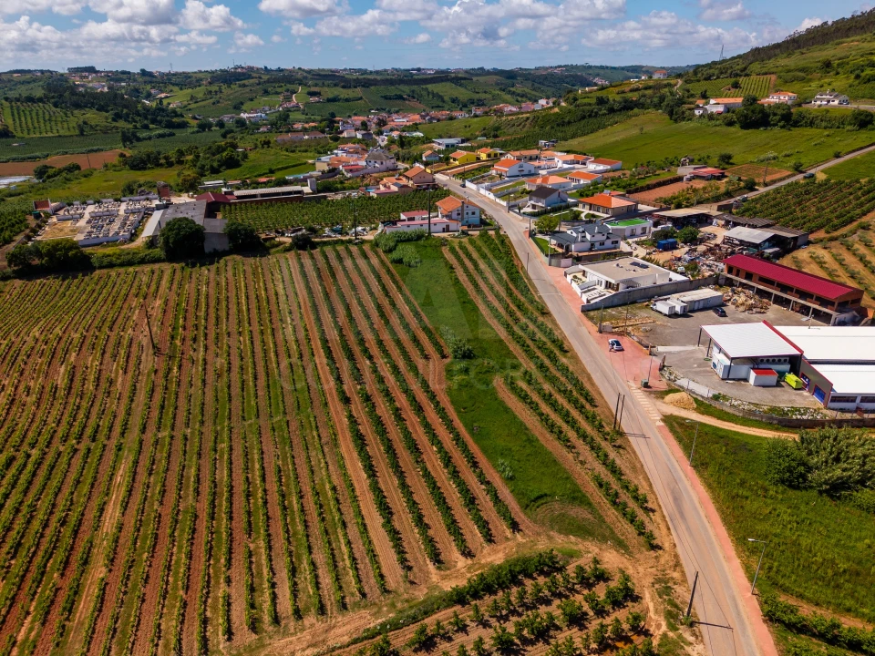 Terreno para Venda em Alguber Foto 2