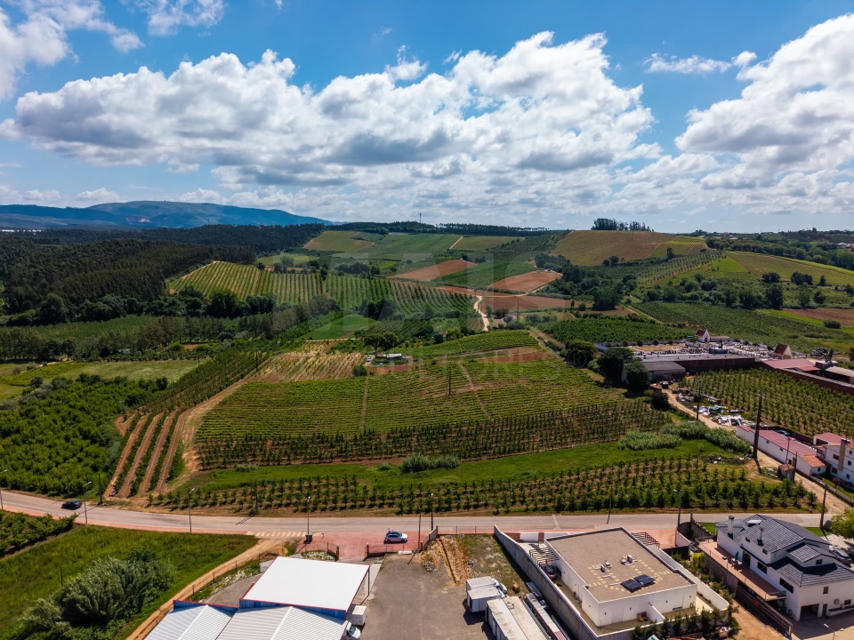 Terreno para Venda em Alguber Foto 7