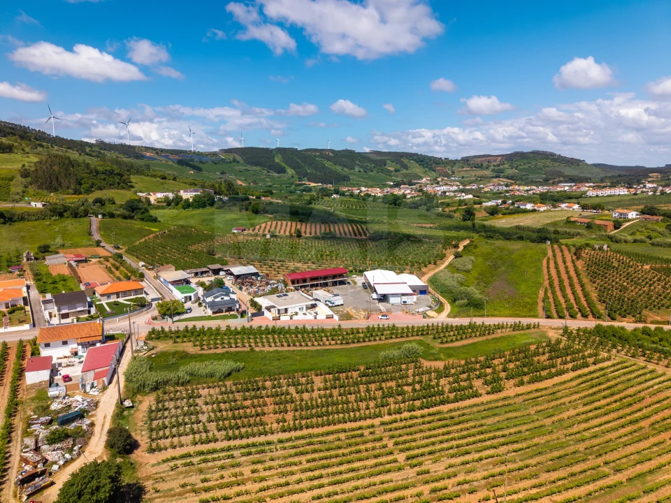 Terreno para Venda em Alguber Foto 4