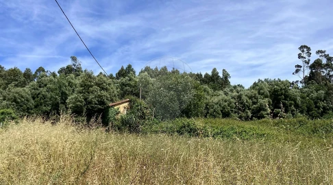Terreno para Venda em Nogueira da Regedoura