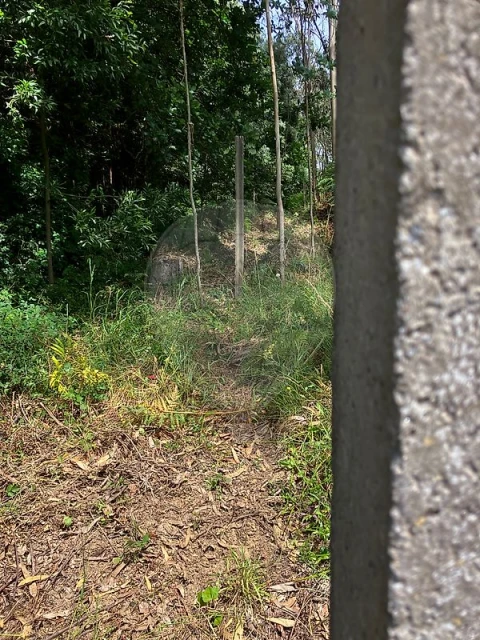 Terreno para Venda em Nogueira da Regedoura