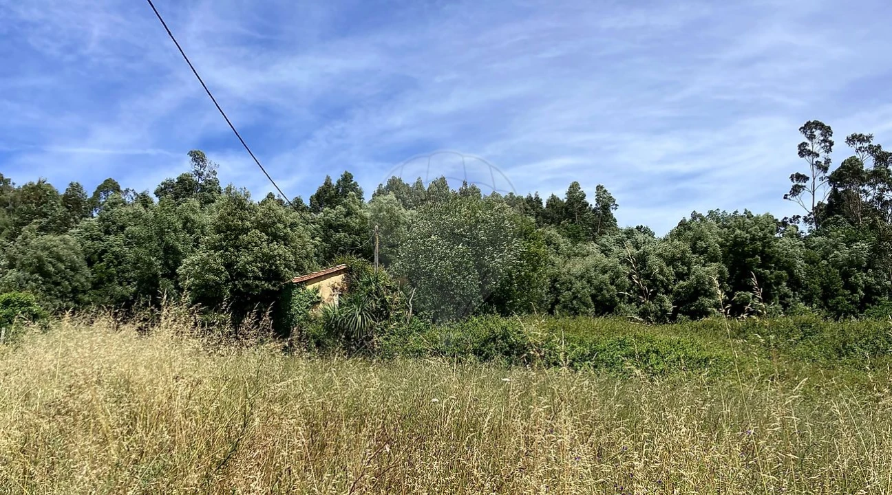 Terreno para Venda em Nogueira da Regedoura Foto 5